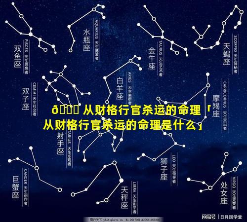 🐎 从财格行官杀运的命理「从财格行官杀运的命理是什么」